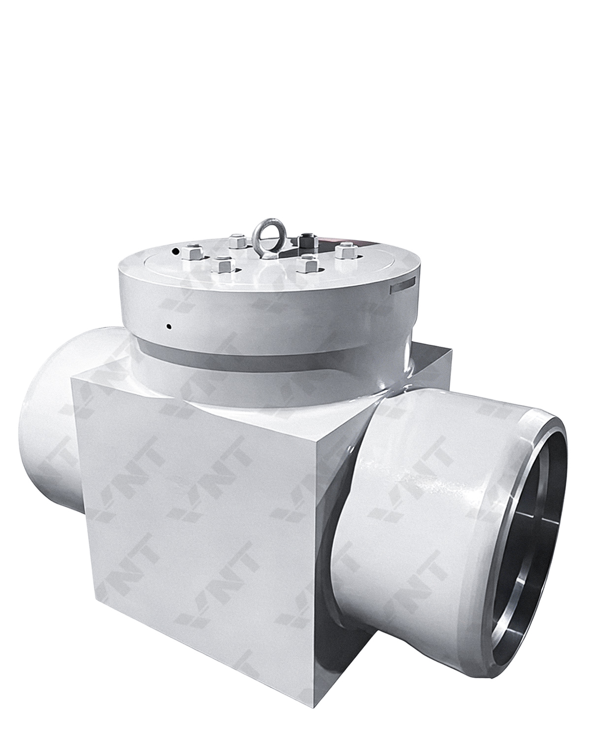 Hydrostatic Test Blank Valve