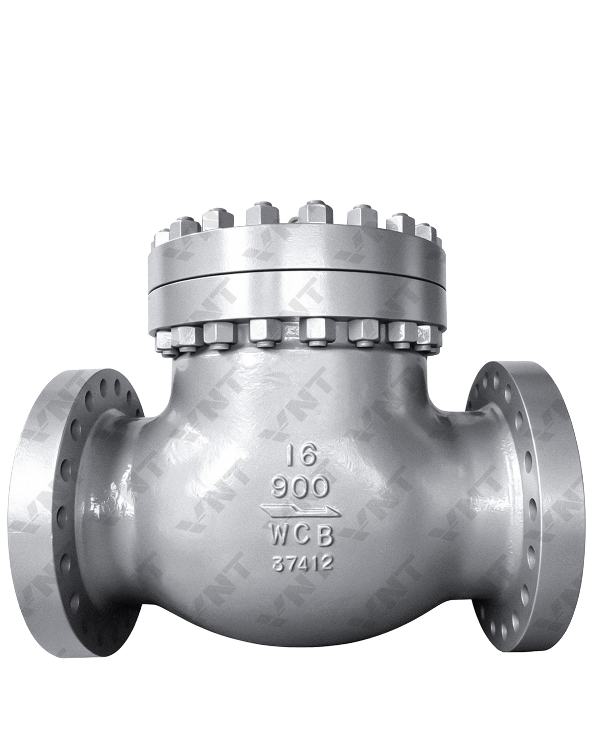 Cast Steel Swing Check Valve