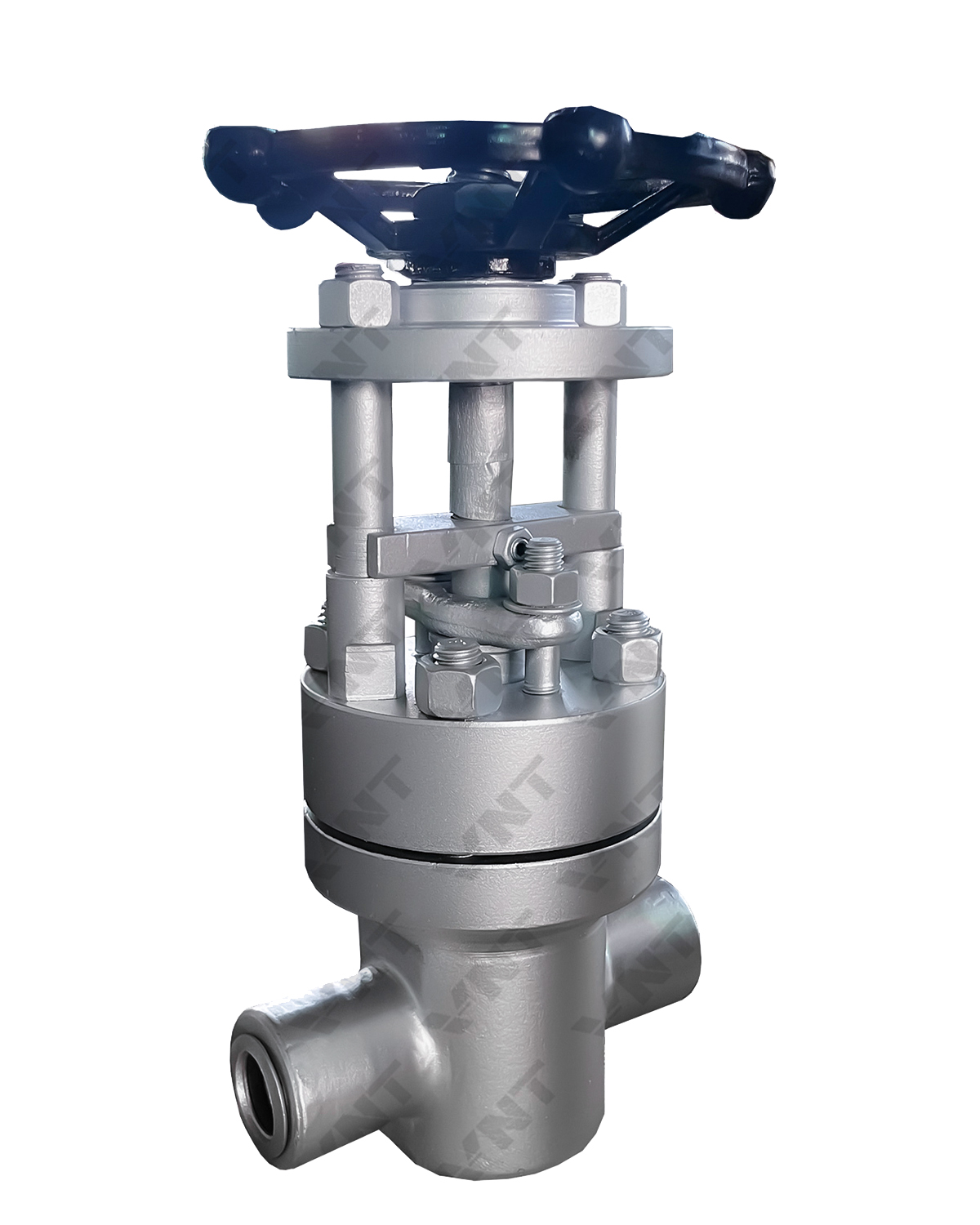 Parallel Gate Valve