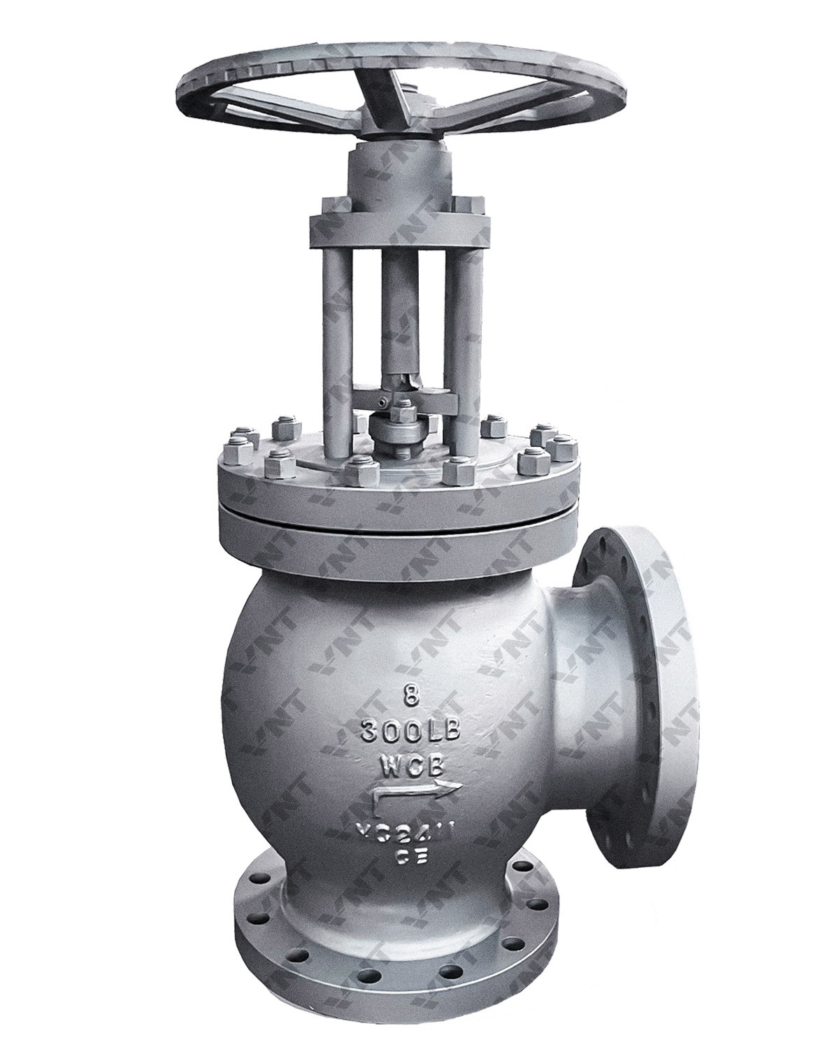 Cast Steel Angle Globe Valve