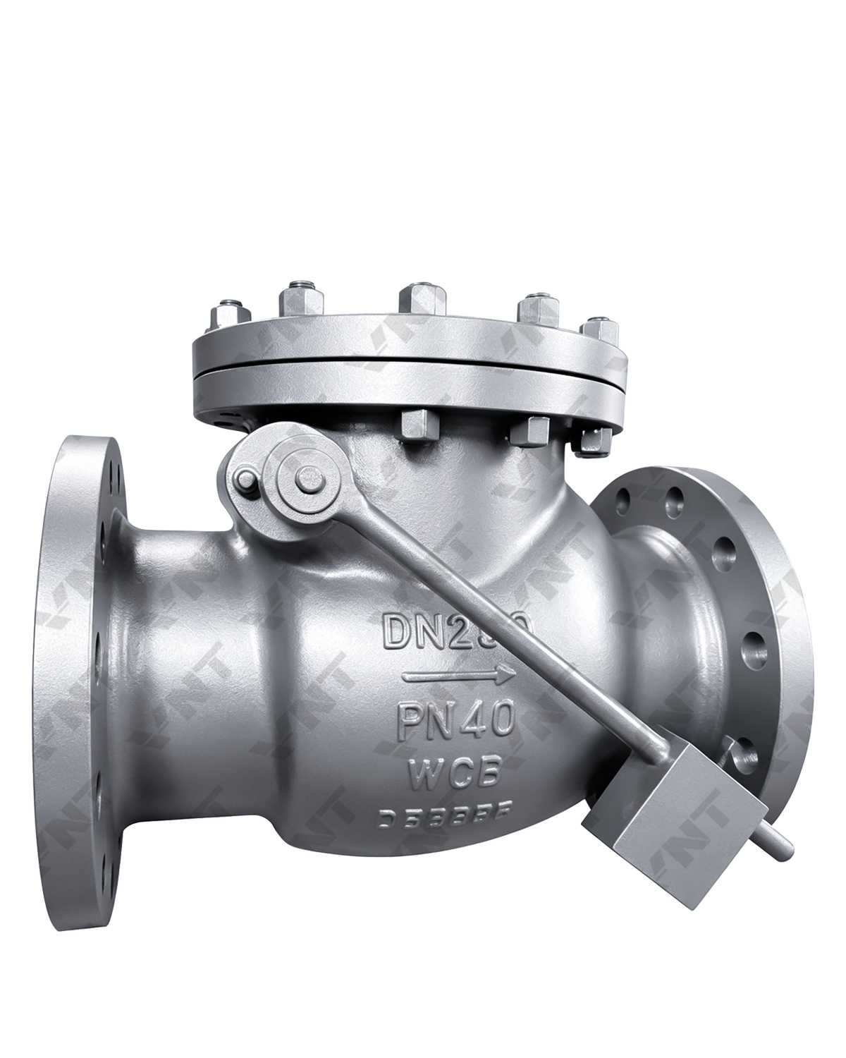 Swing Weight-Loaded Check Valve
