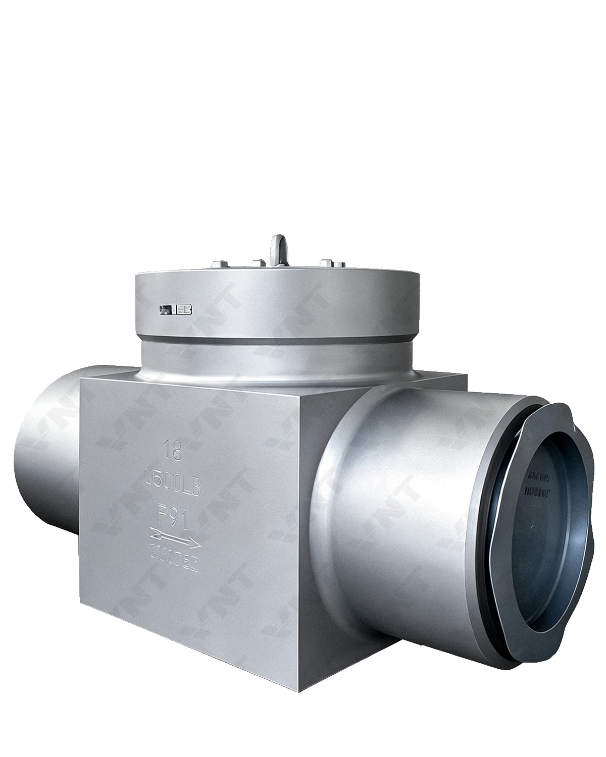 Check Valve