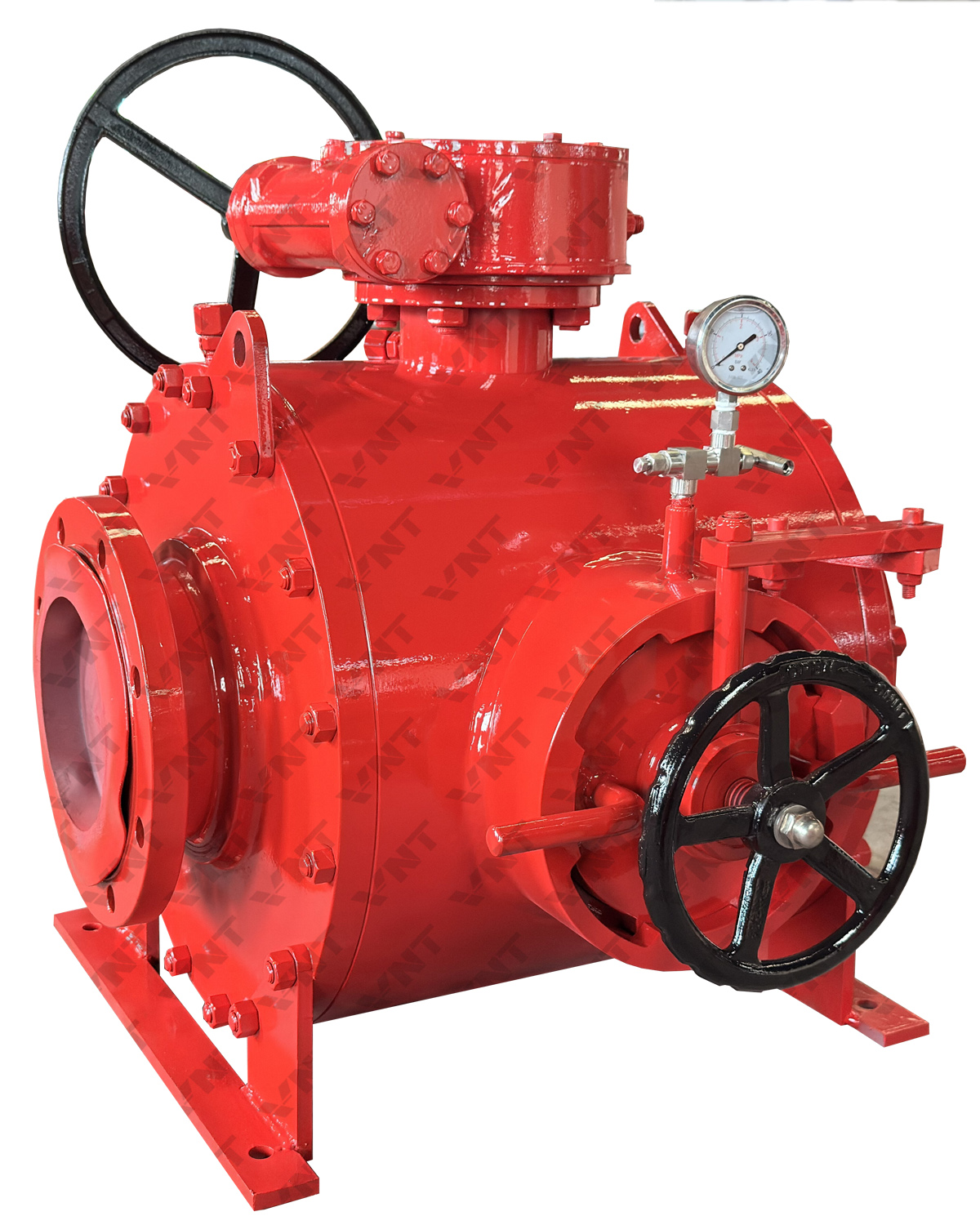 Piggy Ball Valve