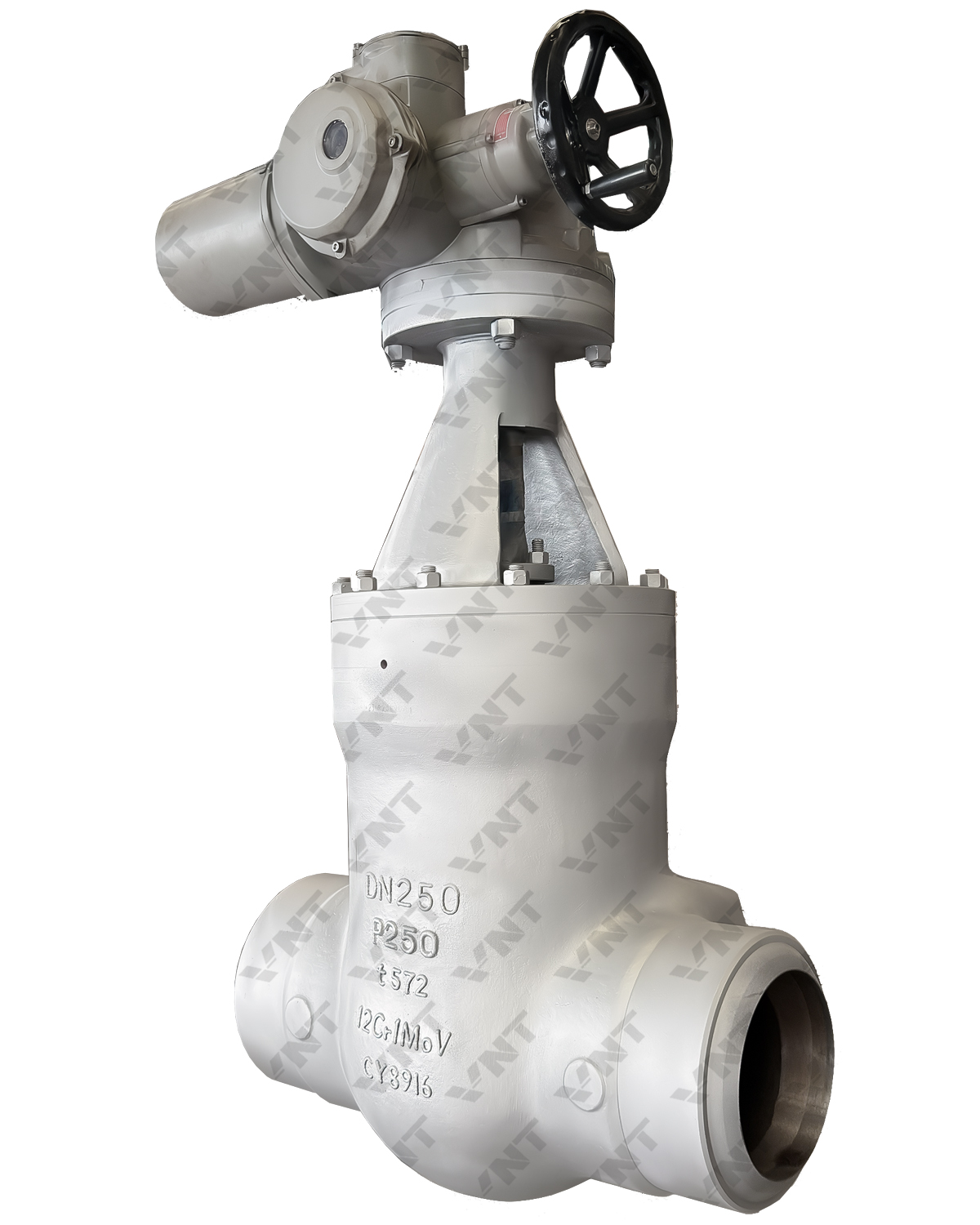 Power Station Gate Valve