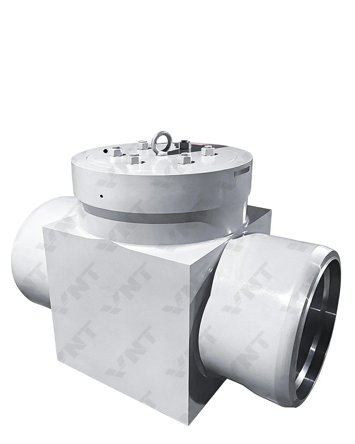Hydrostatic Test Blank Valve