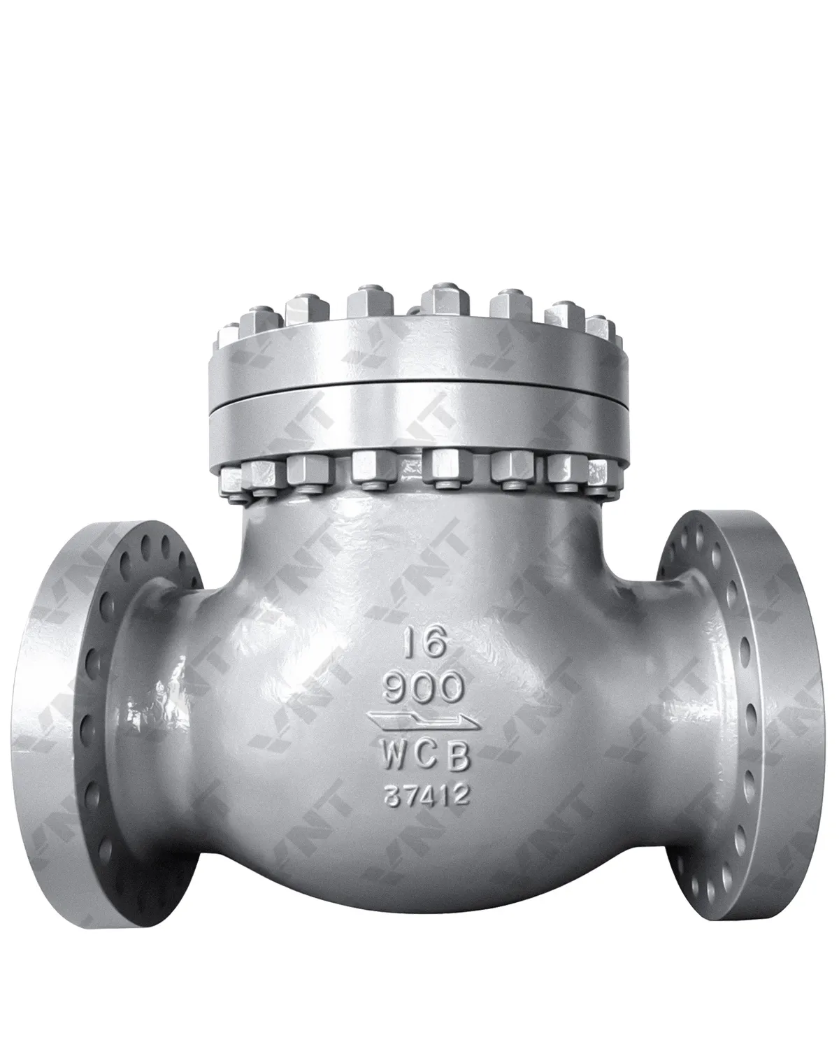 Cast Steel Swing Check Valve