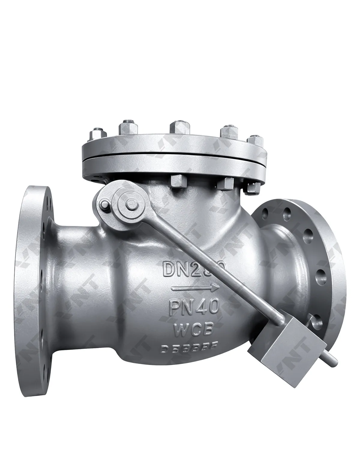 Swing Weight Loaded Check Valve