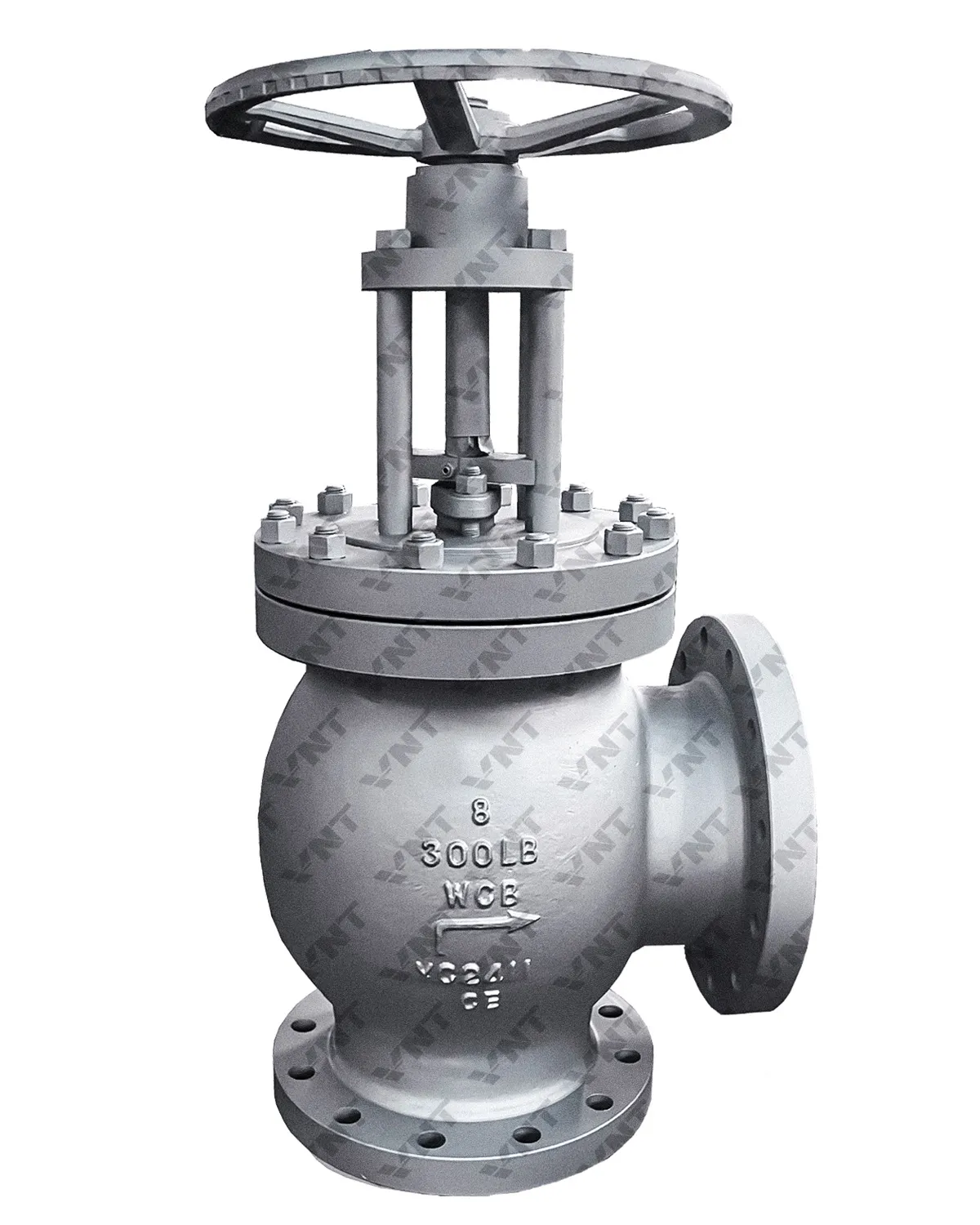 Cast Steel Angle Globe Valve