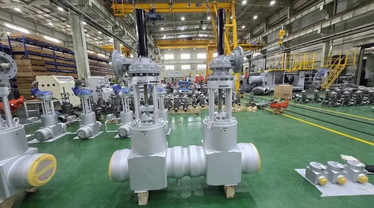 Gate valve structural type classification — wedge gate, double gate, parallel gate configurations