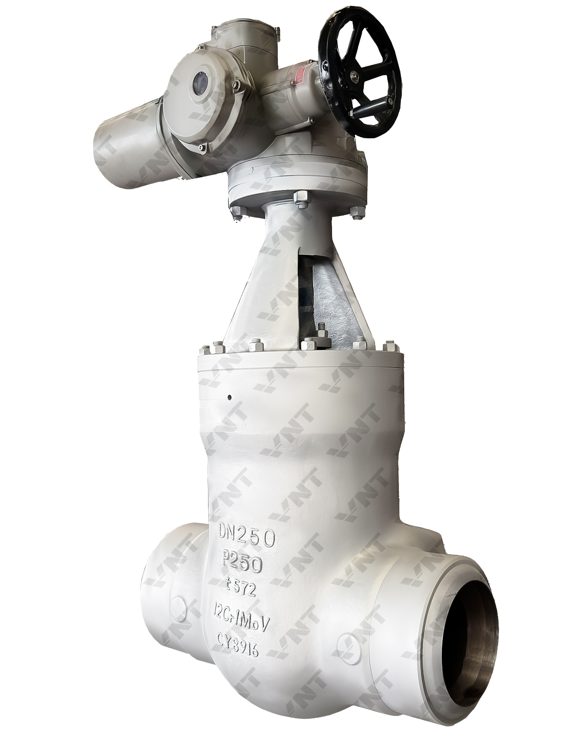 Power station valve