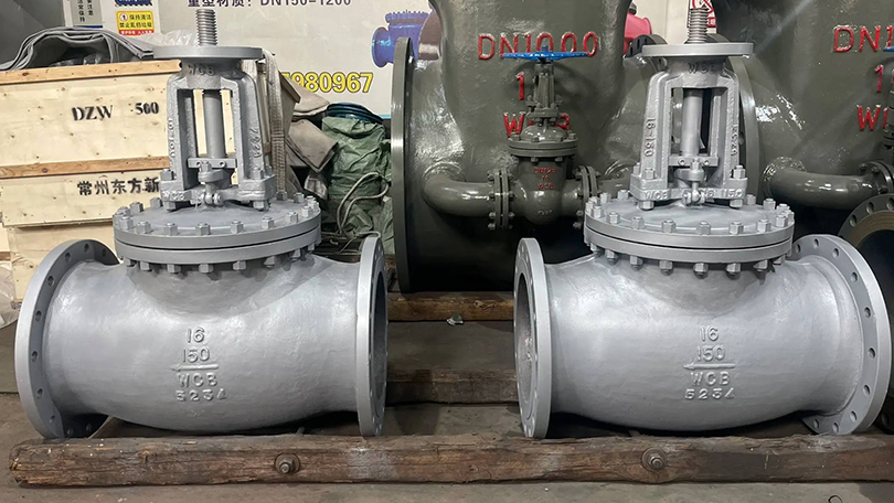 Globe valve selection guide for B2B industrial applications