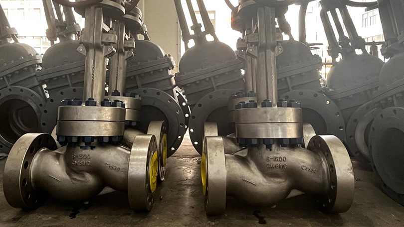 Globe Valve