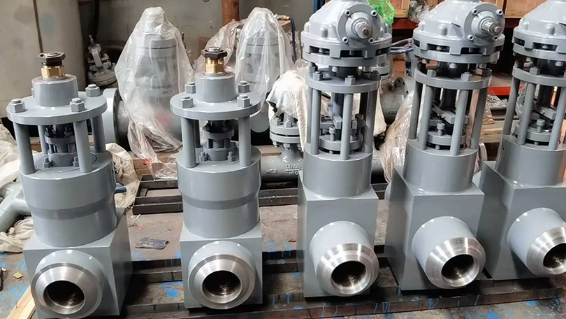 API 600 Globe Valve vs Gate Valve