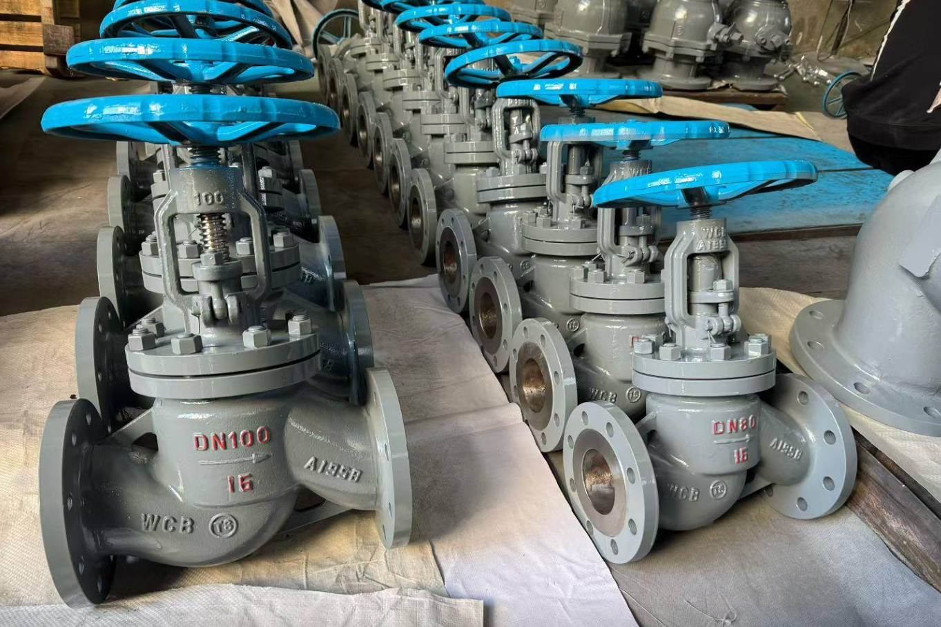 Globe Valve