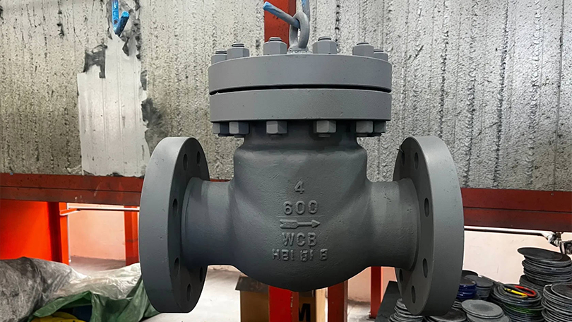 Check Valve