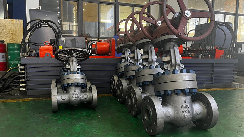 API 600 Globe Valve vs Gate Valve