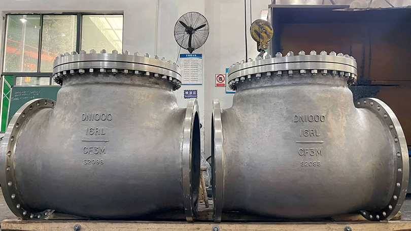 Check Valve