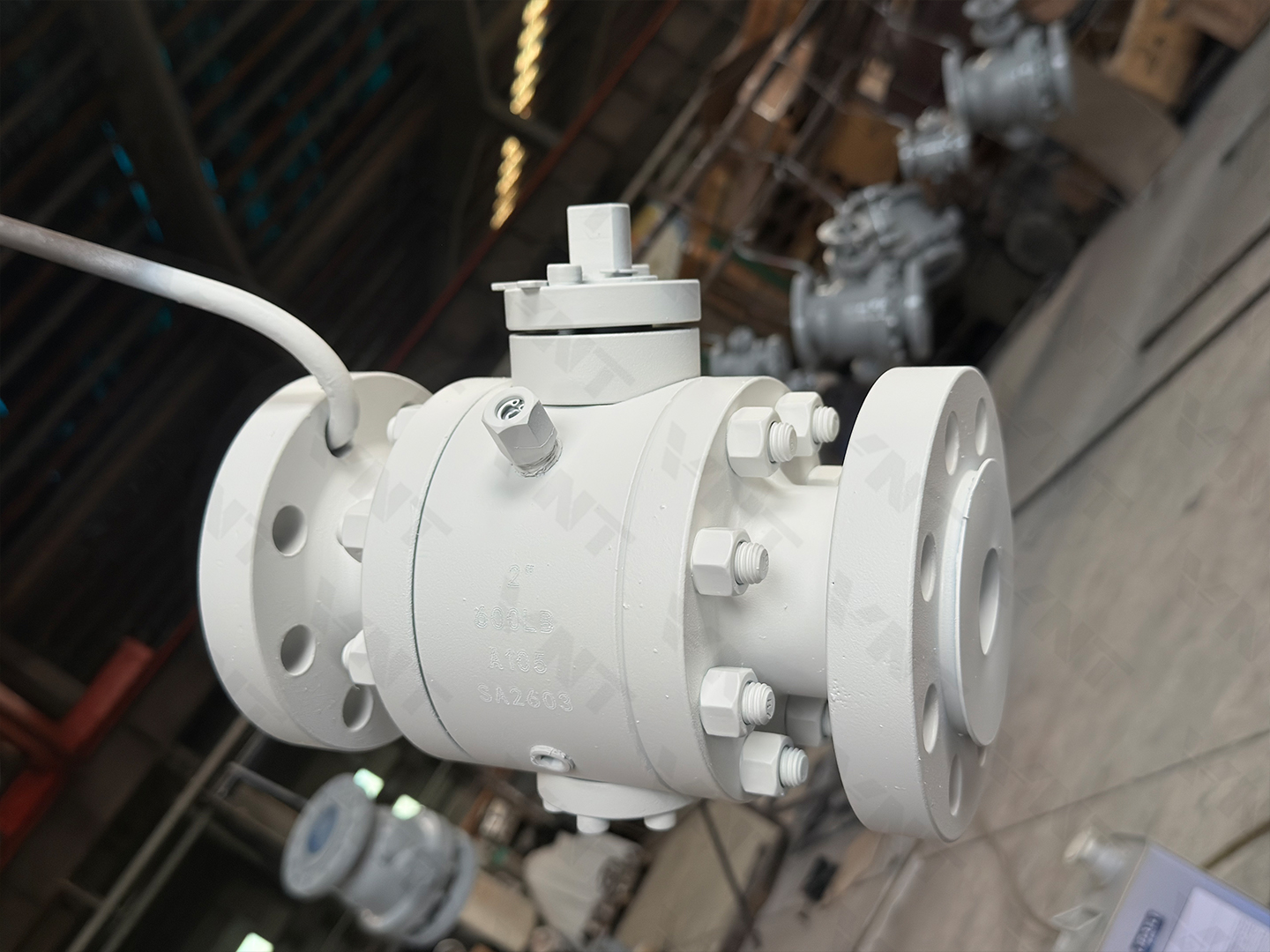 Forged Steel Soft-Sealed Trunnion Mounted Ball Valve