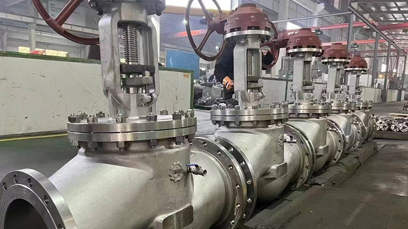 Globe Valve