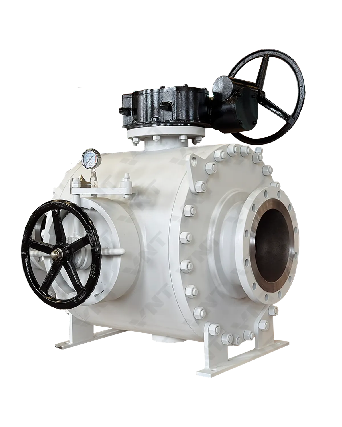 Pigging Valve