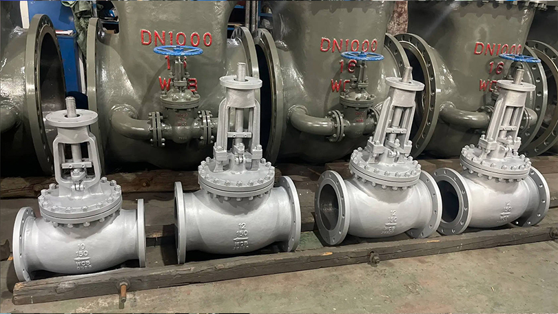 Globe Valve