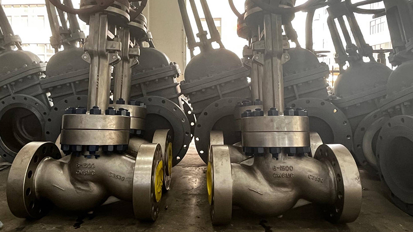 API 600 Globe Valve vs Gate Valve
