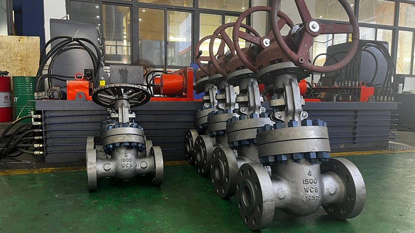 Valve Trim Material Codes on Nameplate - Standard API Trim Designations