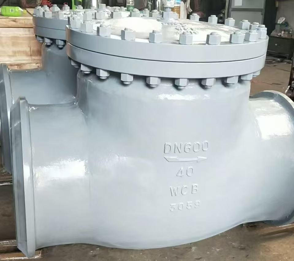 Swing check valve with hinged disc and seat