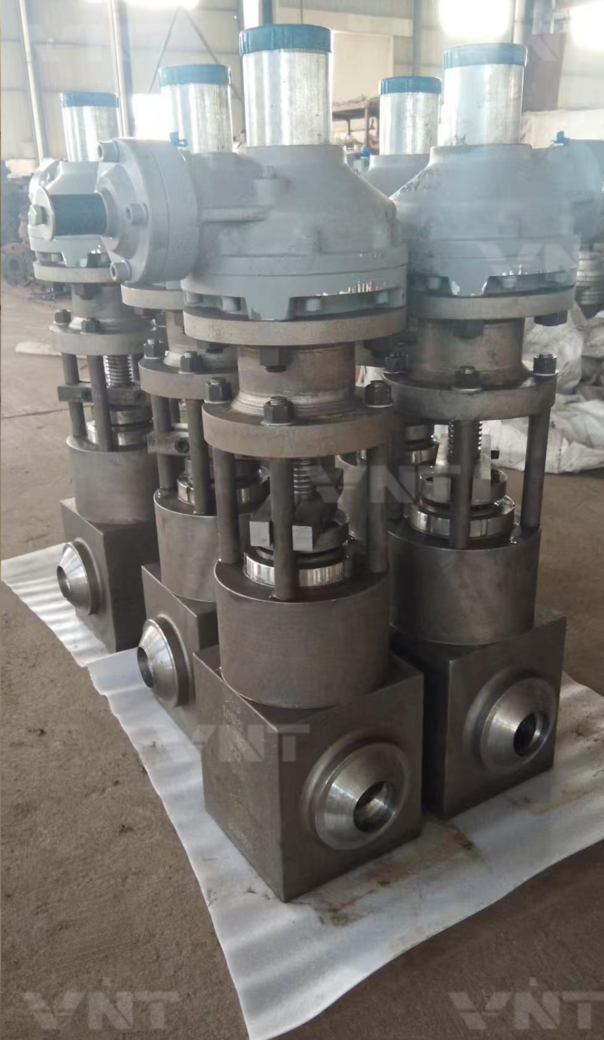 Forged Steel Parallel Gate Valve Assembly