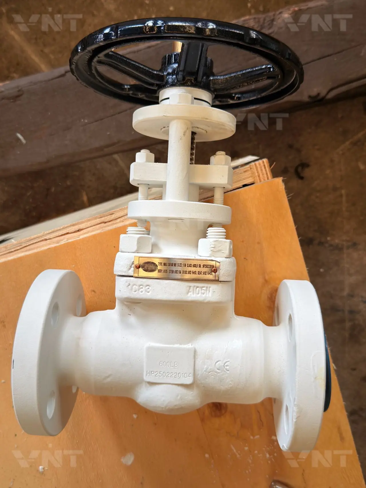 API 602 Forged Steel Gate Valve