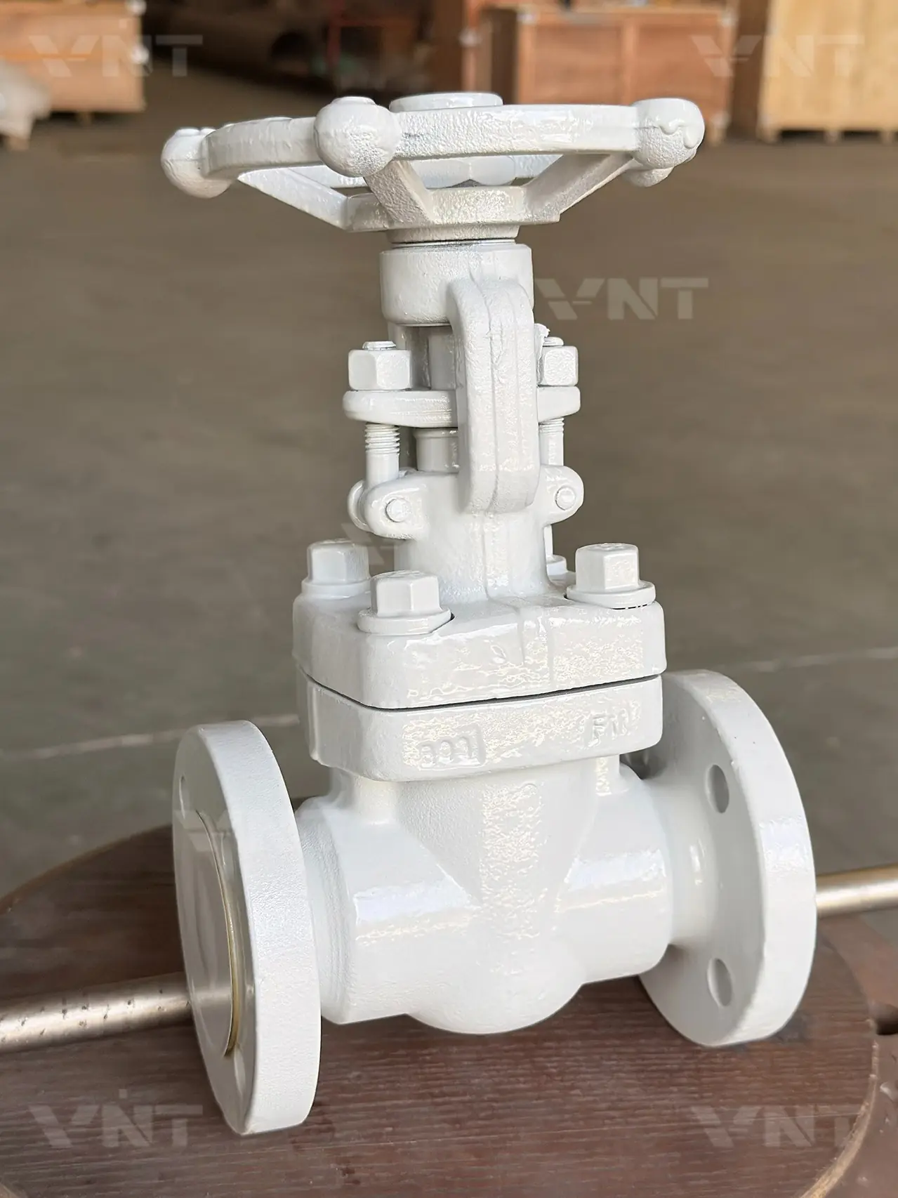 API 602 Forged Steel Gate Valve