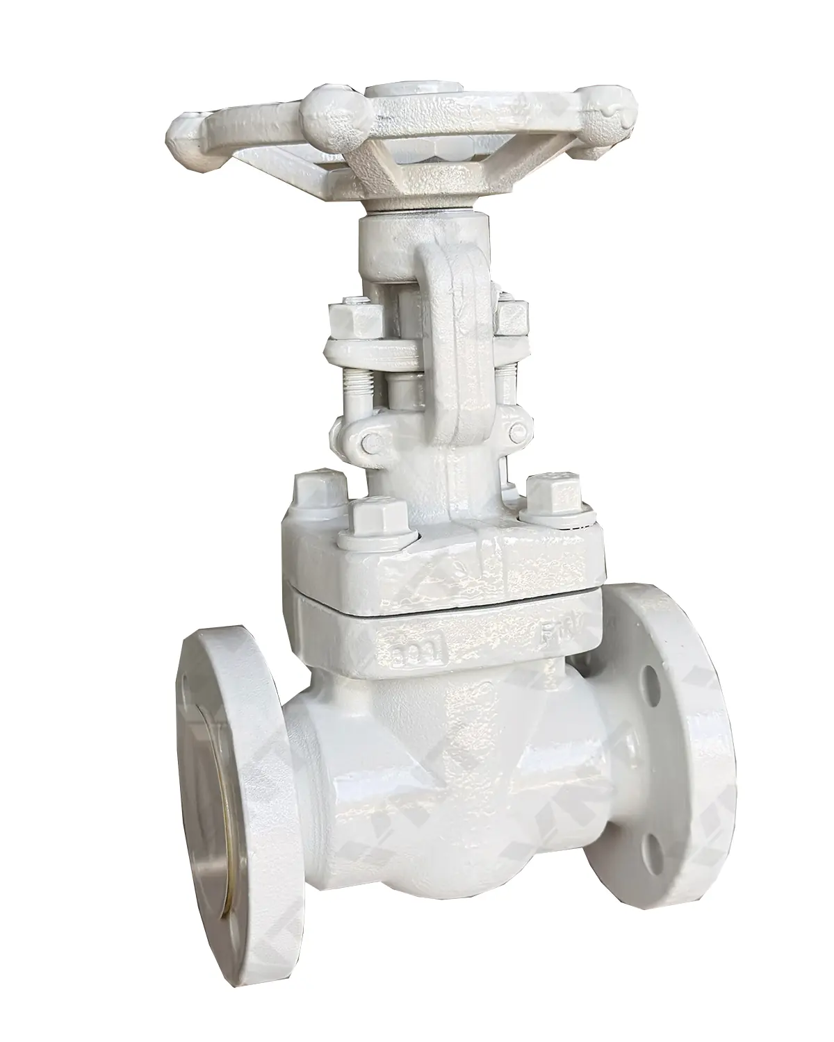 API 602 Forged Steel Gate Valve