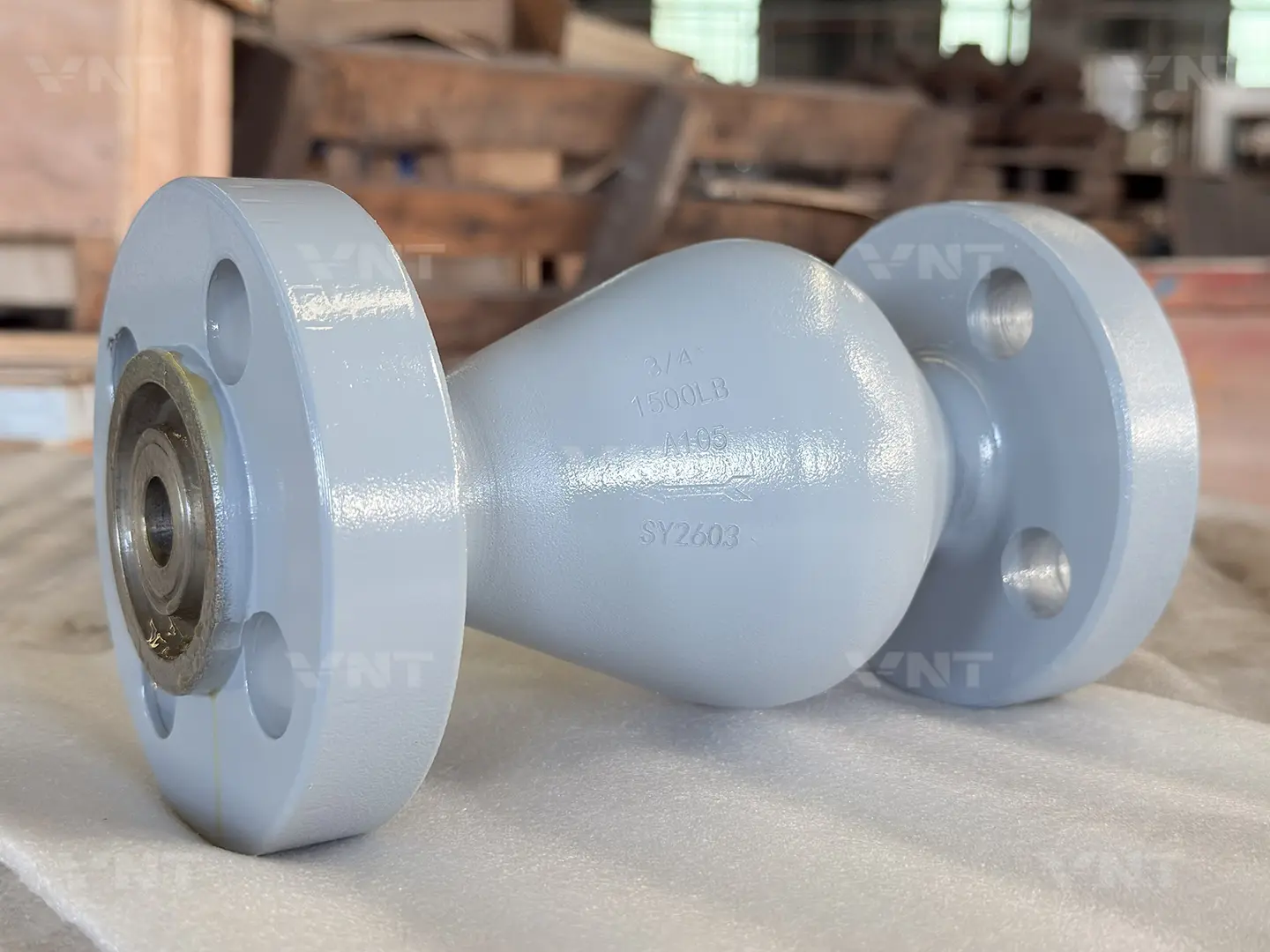 Axial Flow Non-Slam Check Valve factory view 1
