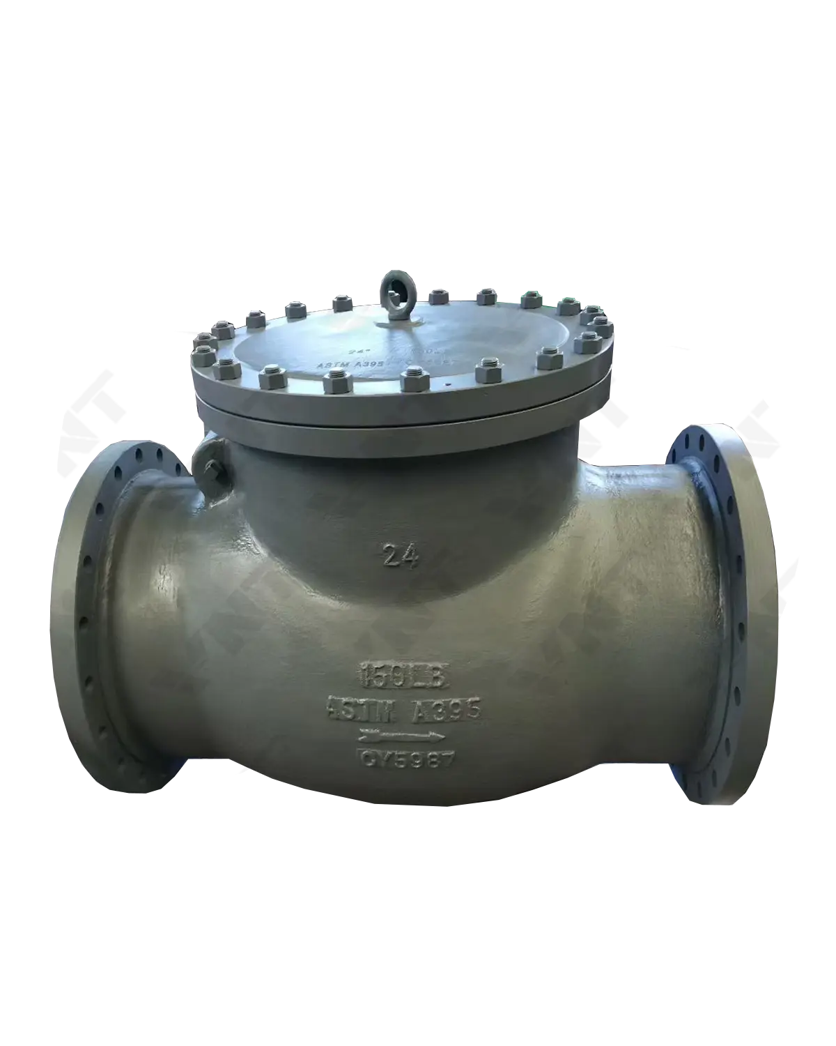 Cast Iron Swing Check Valve