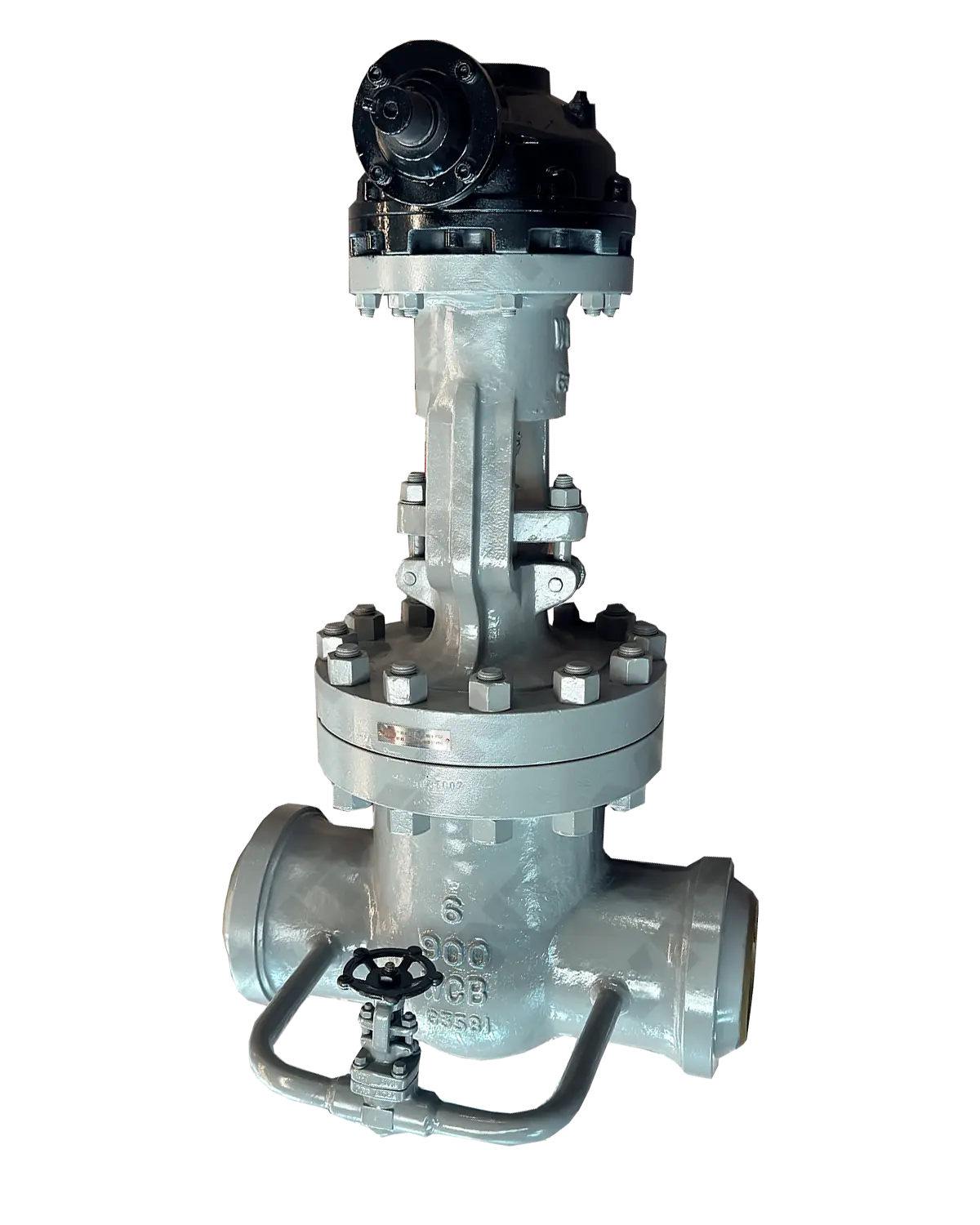 Cast Steel Parallel Double Disc Gate Valve