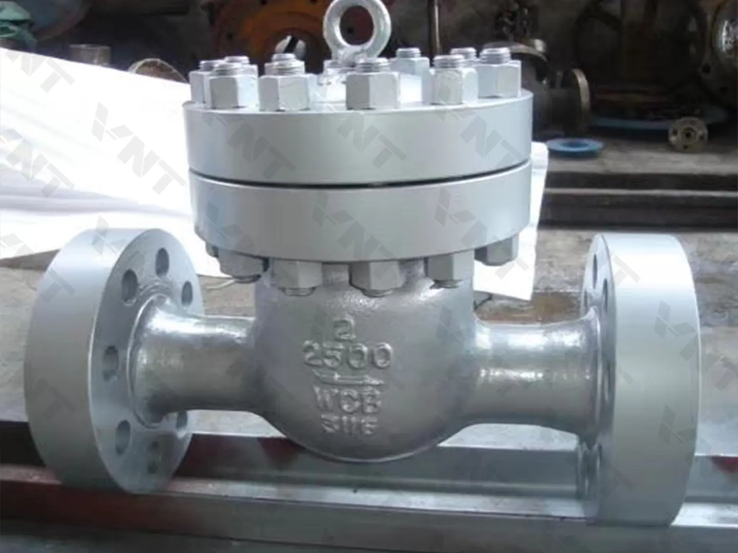 8-inch Class 2500 Cast Steel Swing Check Valve 8-inch Class 2500 cast steel swing check valve