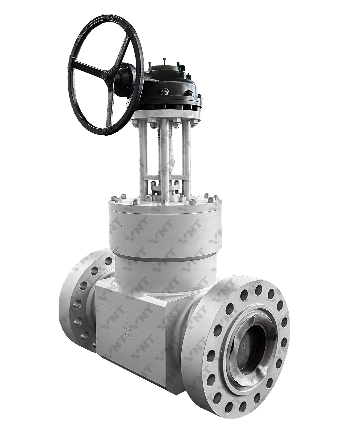 F11 F22 F51 Gate Valve