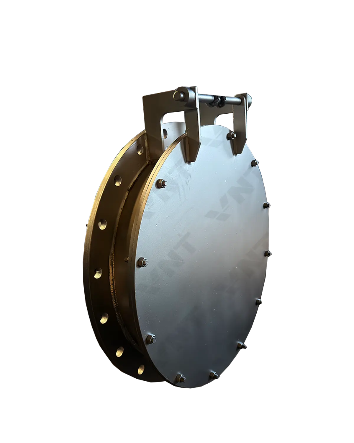 Flap Check Valve
