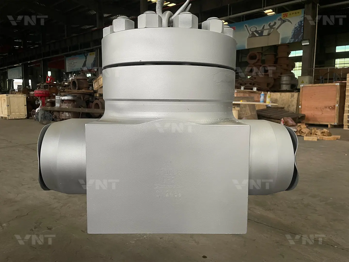 Forged Steel Bolted Bonnet Check Valve Forged Steel Bolted Bonnet Check Valve factory view 1