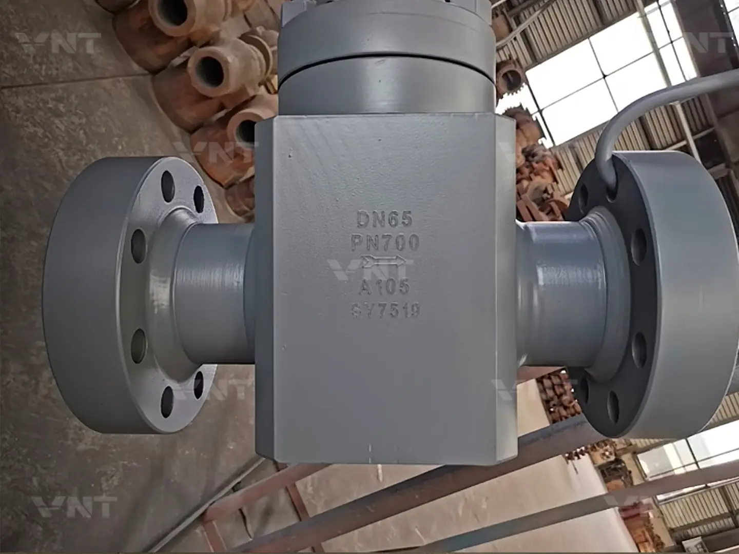 DN65 PN700 piston check valve front view