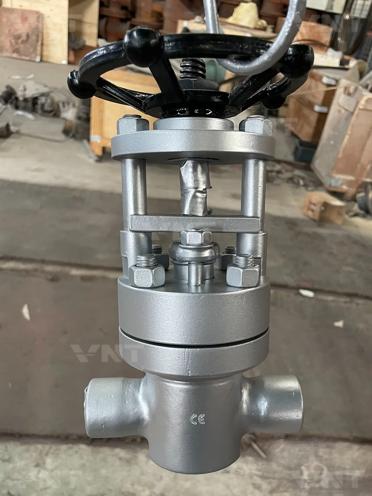 Small Diameter Parallel Gate Valve