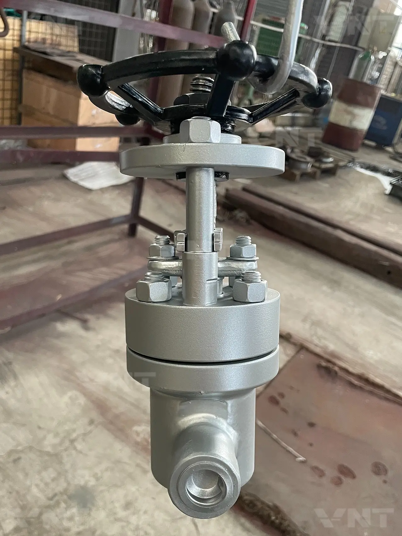 Small Diameter Parallel Gate Valve