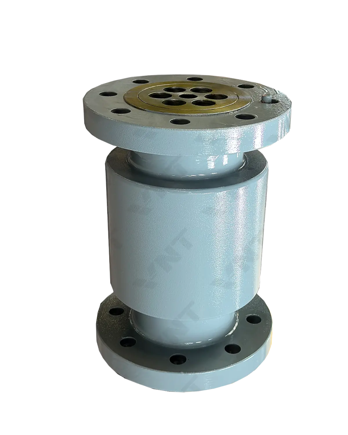 Vertical Check Valve
