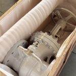 Cast steel parallel double disc gate valve prepared for export packing