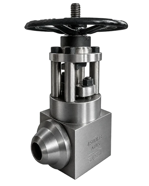High-pressure forged steel globe valve for power station service